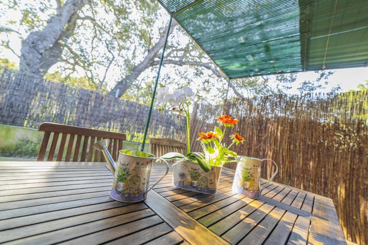Villa El Mal Pas / Can Seguinet Alcudia  Ngoại thất bức ảnh
